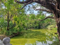 -人民公园(罗湖区)