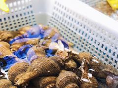 -驻海渔市(置信店)