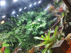 -森味薪火烧•烧鸟居酒屋•日本料理(望京店)