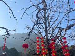 -华清宫景区