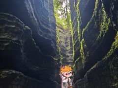 -梭布垭石林景区