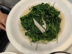 -臻品汇-镇江菜-河豚(大润发店)