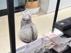-Oasis绿洲银饰珍珠手作diy(壹方城店)