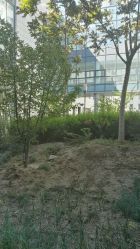 周边环境-天津市儿童医院(北辰龙岩院区)