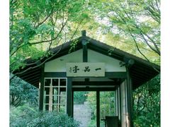 -中国茶叶博物馆(双峰馆区)