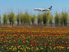 -青岛胶东国际机场