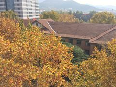 -山东大学(千佛山校区)