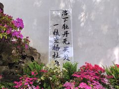 -拙政园