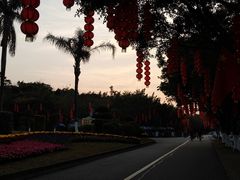 -番禺大夫山森林公园