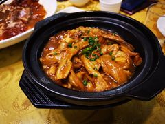 -永記粤菜·五指毛桃花雕鸡煲(九亭店)