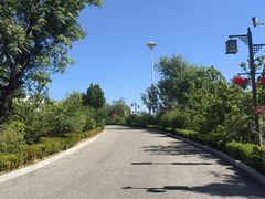 -泰山天颐湖旅游度假区