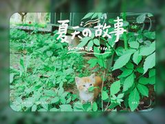 -东平国家森林公园