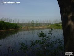 -微山湖红荷湿地景区