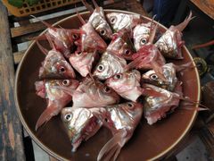 -章记正宗南岗鱼蛋火锅