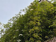 -悦哉·派对·草坪婚礼·围炉煮茶(三圣乡店)
