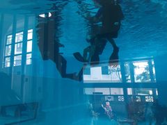 -上海潜殿潜水中心