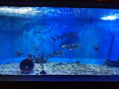 -太平洋海底世界