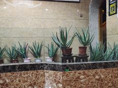 -五大龙池温泉宝石浴(繁荣店)