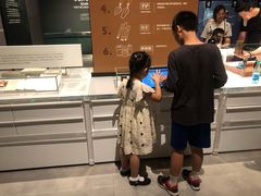 -盘龙城国家考古遗址公园