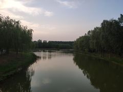 -东郊湿地公园