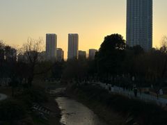 -堤角公园