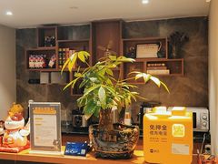 -梵猫·新养生(南坪万达店)