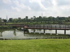 -王借岗森林公园