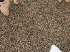 -三江森林温泉度假区