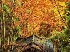 -窦圌山风景区