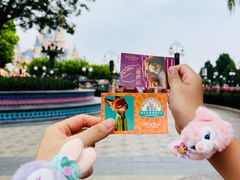 -上海迪士尼度假区