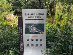 -佛慧山
