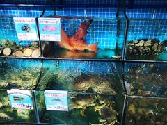 水产区-范饭椰林川湘味海鲜·椰子鸡(三亚湾椰梦长廊店)