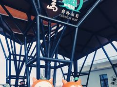 -上海长兴岛郊野公园