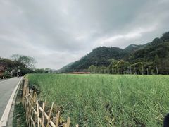 -贵阳市花溪国家城市湿地公园