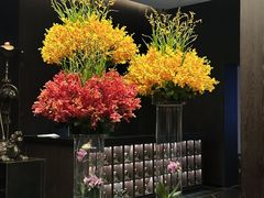 -明湖楼·经典鲁菜山东海鲜(大明湖店)