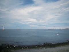 -长江澳风力发电景观区