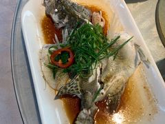 -大树头森林餐厅(番禺广场店)