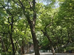-句容茅山景区