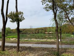 -同里国家湿地公园