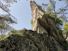 -王顺山国家森林公园