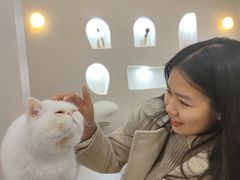 -More Fun猫咖 二十只万元加菲主题