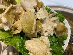 -爱膳菌锅锅(阳南店)