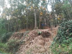 -峙山公园