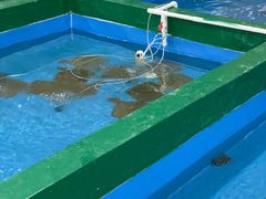 -阔澜蒸汽海鲜自助