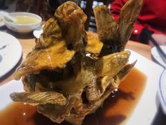 糖醋鲤鱼-崔义清鲁菜馆(大明湖店)