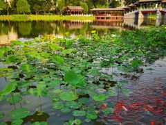 -西海子公园
