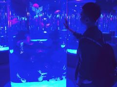 -沈阳海洋探索中心