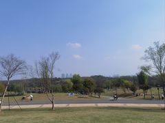 -盘龙城国家考古遗址公园