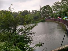 景点-王借岗森林公园