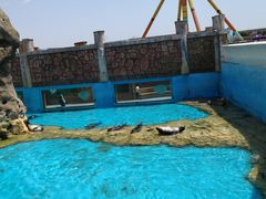 -秦皇岛乐岛海洋王国